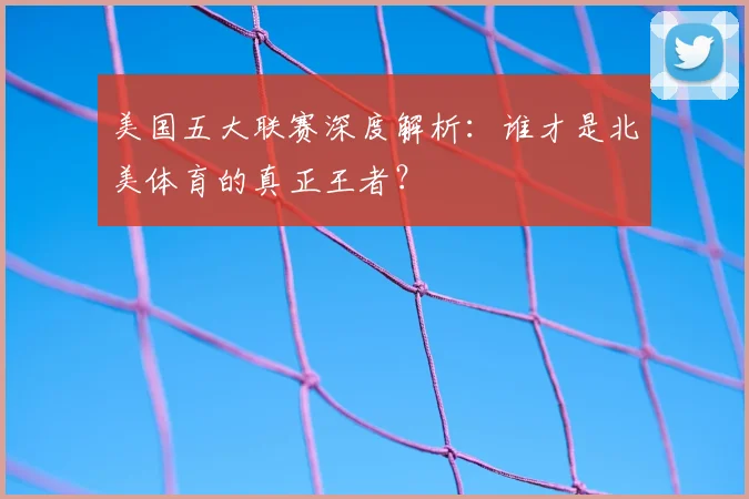 美国五大联赛深度解析：谁才是北美体育的真正王者？