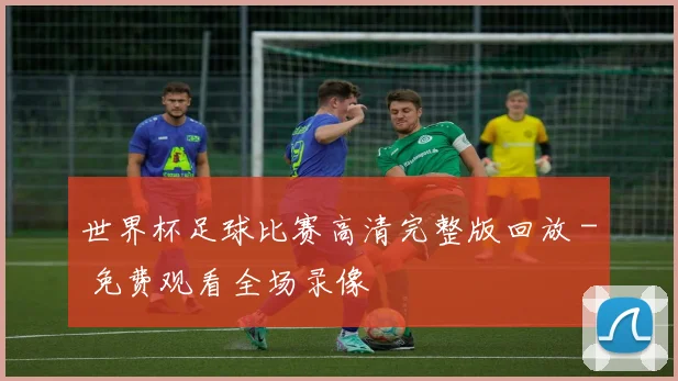 世界杯足球比赛高清完整版回放 - 免费观看全场录像